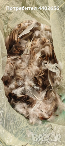 Пера от фазан и диви патици за Мухарски риболов 