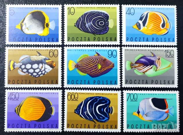 Полша, 1967 г. - лот марки на тема коне, спорт, риби, ВСВ, колоездене, , снимка 2 - Филателия - 53566936