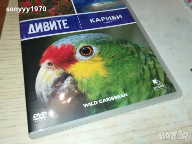 ДИВИТЕ КАРИБИ ДВД 1703251546, снимка 3 - DVD филми - 49529956