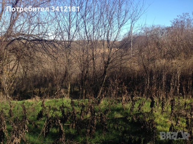 Парцел 1800 кв.м. и къща за основен ремонт в село Красен област Добрич собственик , снимка 3 - Къщи - 52341775