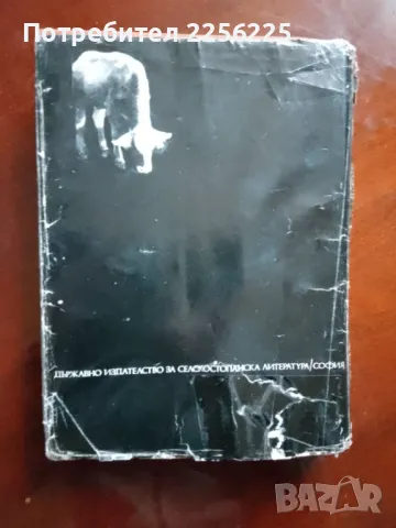 Говедовъдство 1969 г. , снимка 8 - Специализирана литература - 48351856