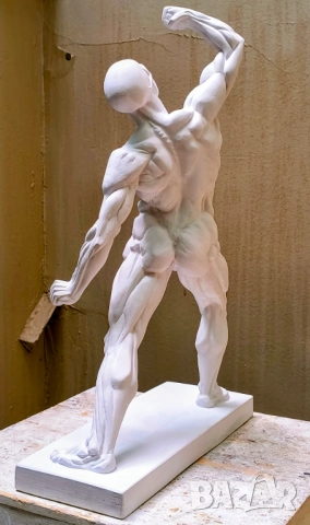 Екорше / Анатомична фигура / Гипсов модел, снимка 9 - Други - 51458325