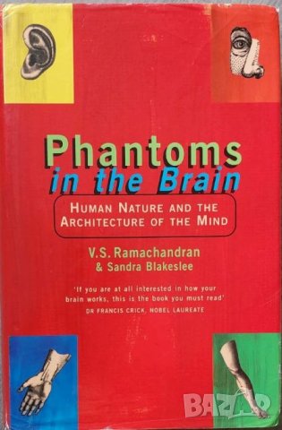 Phantoms in the Brain: Human Nature and the Architecture of the Mind (V.S. Ramachandran), снимка 1