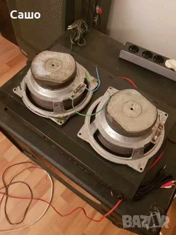 Руски говорители 