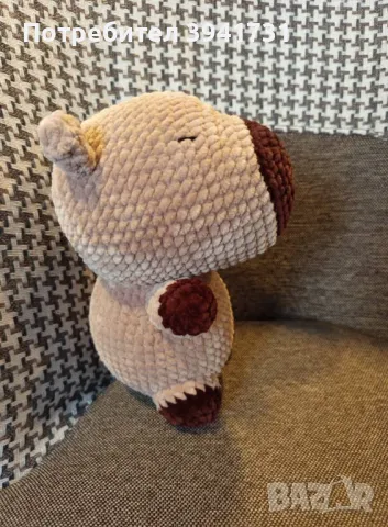 Капибара, снимка 2 - Други - 50179305