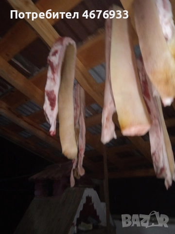 прясна сланина прасето е щавено пърлено два пъти както му е реда., снимка 3 - Прасета - 52776591