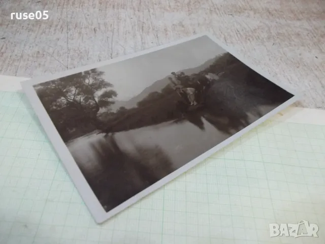 Снимка стара на група младежи седнали на брега край реката, снимка 3 - Колекции - 47910581