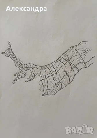 Скици 20 броя, снимка 8 - Картини - 50876142