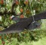 Плашило за птици - Изкуствен Сокол , снимка 1 - Други - 41614473