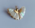 Брошка – Бяла Седефена пеперуда , снимка 4