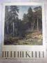Книга "Шишкин - А. Н. Савинов" - 96 стр., снимка 1