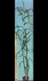 Гигантска тръстика, Arundo donax, декоративни, бързорастящи,жив плет, снимка 11