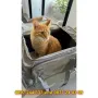 Транспортна чанта за коте/куче - КОД 4325, снимка 6