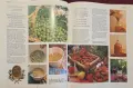 Step by Step Homemade Wine, снимка 7
