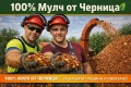 Мулч/Дървесен чипс / 100% Натурален , снимка 13
