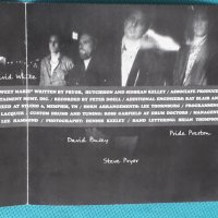 Steve Pryor Band ‎– 1991-Steve Pryor Band (Chicago Blues), снимка 3 - CD дискове - 44375148