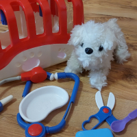Плюшено кученце при ветеринар, снимка 3 - Плюшени играчки - 36230007
