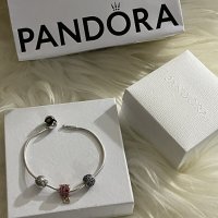 Оригинална сребърна гривна Pandora Essence 925, снимка 5 - Гривни - 41685974