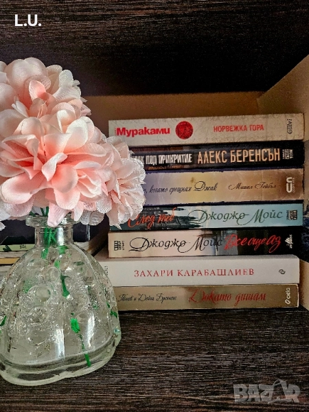 Книги, снимка 1