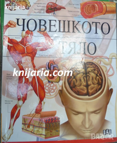 Човешкото тяло: Илюстрована енциклопедия, снимка 1