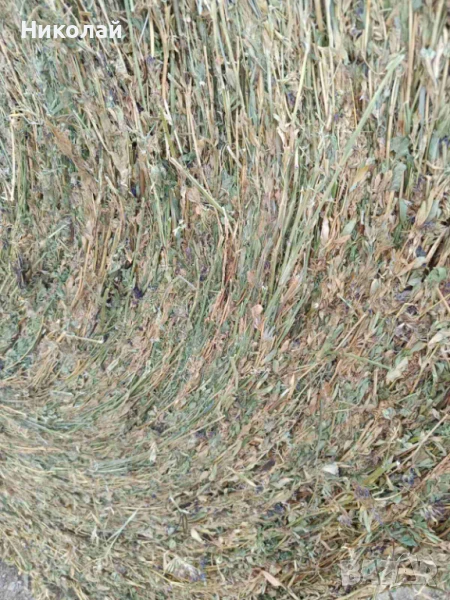 Продавам ролонни бали люцерна, снимка 1