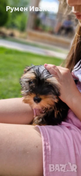 Сладки съкровища , снимка 1