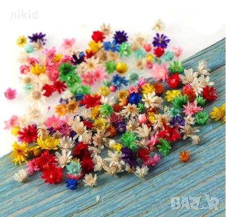 100 бр миниатюрни Сухи сушени цветя декоративни декорация за нокти маникюр бижута и сапун смола, снимка 3 - Изкуствени цветя - 35753203
