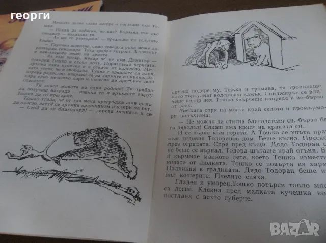Две детски книги , снимка 7 - Детски книжки - 55780560
