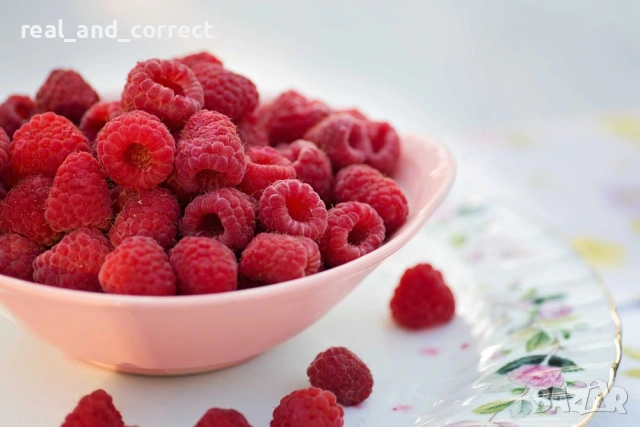 ВЕЛИКОЛЕПЕН БИО Разсад целогодишни Ягоди и Малини, снимка 11 - Разсади - 53687574