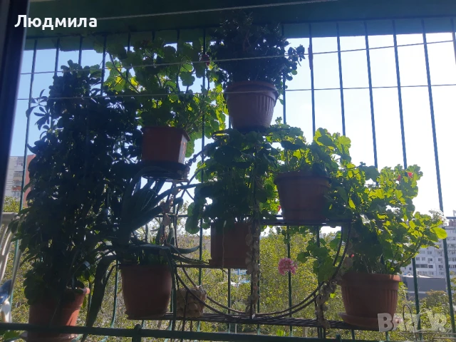 Цветарник,ковано желязо,олекотен,уникален,, снимка 3 - Декорация за дома - 51218359