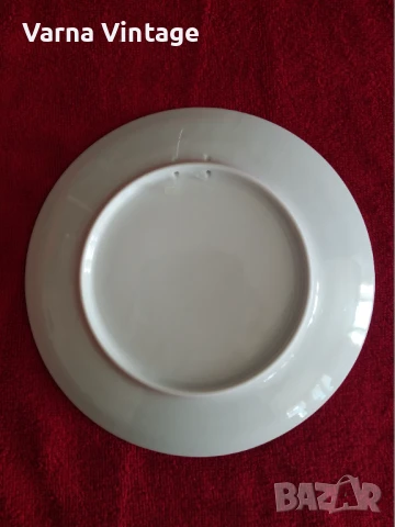 Колекционерска порцеланова чиния Bad Sooden Allendorf. Германия, снимка 2 - Колекции - 51079860