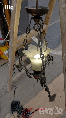 полилей два броя на цената на един. , снимка 9 - Други - 53725707