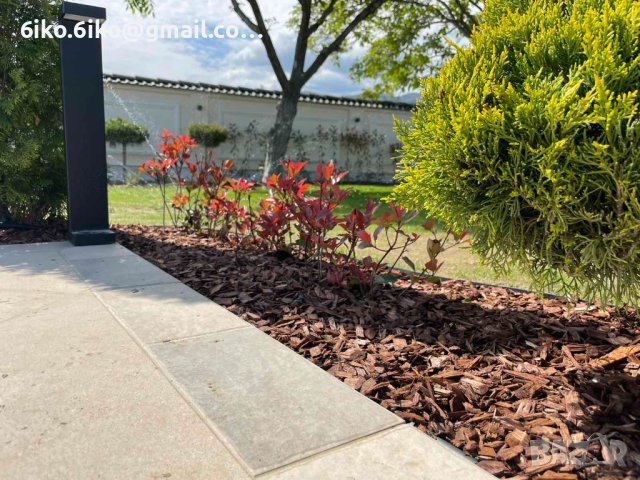 Дървесен мулч , снимка 13 - Градински цветя и растения - 44477691