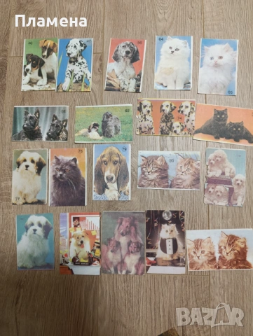 Миришещи картинки, листчета и корици , снимка 11 - Колекции - 53744281