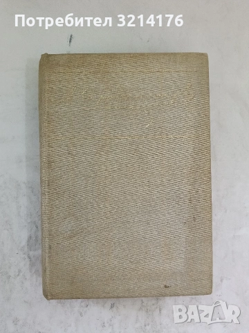 В лабиринта - Стефан Дичев, снимка 2 - Българска литература - 53836761