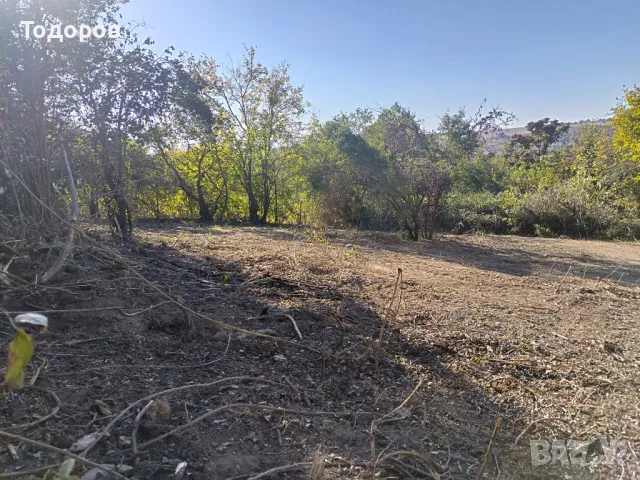 Дворно място в село Червен, обл. Русе, снимка 4 - Парцели - 47418980