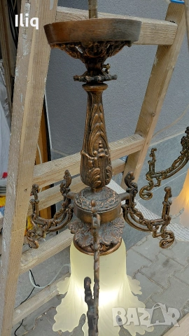 полилей два броя на цената на един. , снимка 3 - Други - 53725707