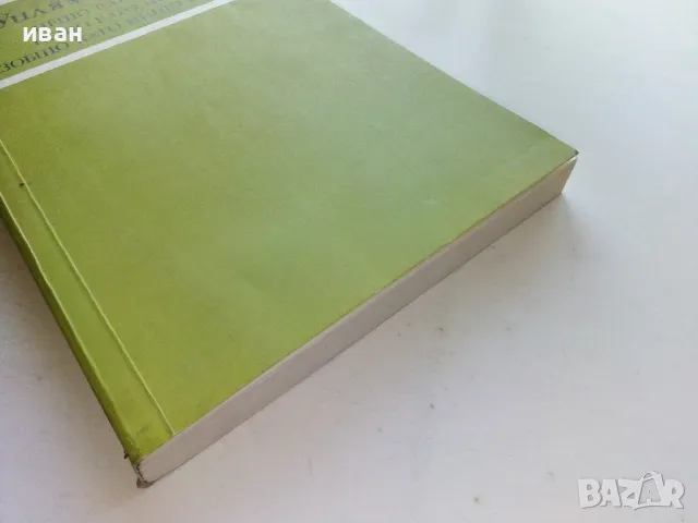 Нещо като нож,нещо като цвете,изобщо като нищо на света - У.Сароян - 1980г., снимка 6 - Художествена литература - 50052496