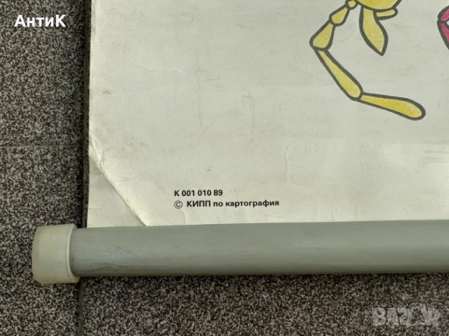 Соц Учебни Плакати Табла Постери Гъби, снимка 11 - Антикварни и старинни предмети - 51025156