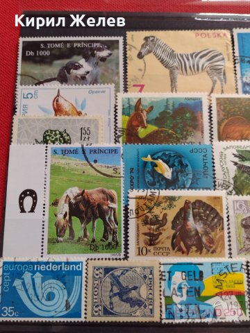 Лот Пощенски марки смесени серий ЖИВОТНИ от цял свят за КОЛЕКЦИЯ 22629, снимка 11 - Филателия - 40364741