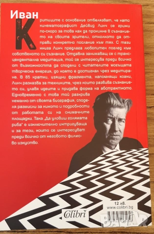 Дейвид Линч - Да уловиш голямата риба, снимка 2 - Художествена литература - 53765301