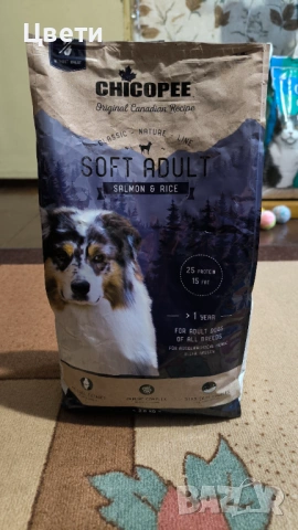 Кучешка храна