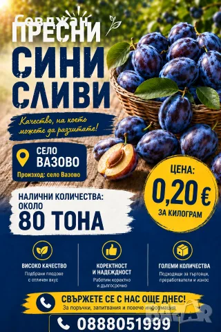 сини сливи стенлей