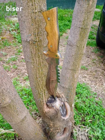 МАСИВЕН НОЖ , снимка 4 - Ножове - 49660037