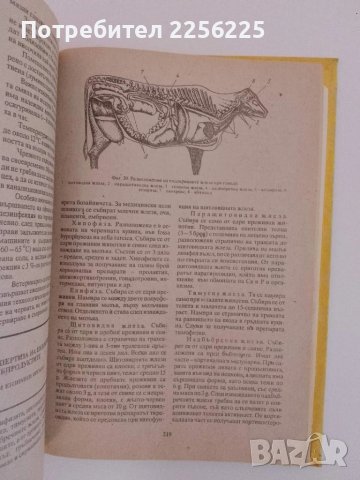Ветеринарно - санитарна експертиза на хранителните продукти от животински произход ( 1ва част) , снимка 7 - Специализирана литература - 51213889