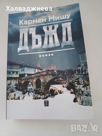 Дъжд от Кармен Мишу