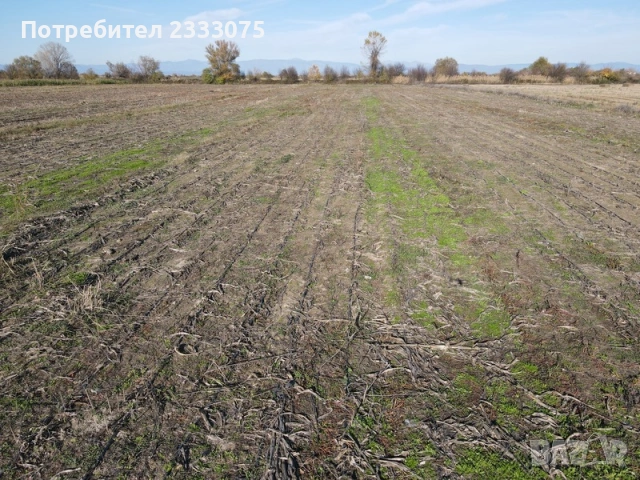 Продавам 24,860 дка земя в землището на с. Крислово, обл. Пловдив, снимка 10 - Земеделска земя - 53530333