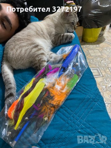 Комплект игра за котки-телескопична въдица + 10 различни сменяеми пера , снимка 17 - За котки - 41189874