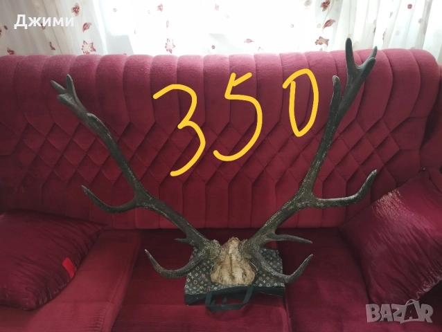 различни симетрични трофеи, снимка 16 - Антикварни и старинни предмети - 47085516