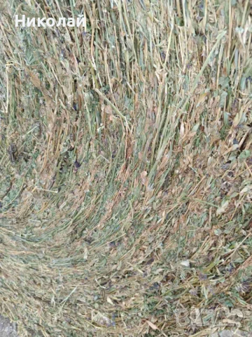 Продавам ролонни бали люцерна, снимка 1